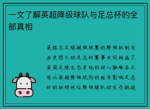 一文了解英超降级球队与足总杯的全部真相